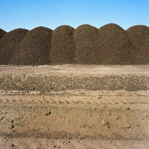 's "Almond Hulls. Lost Hills, Kern County" (2011)